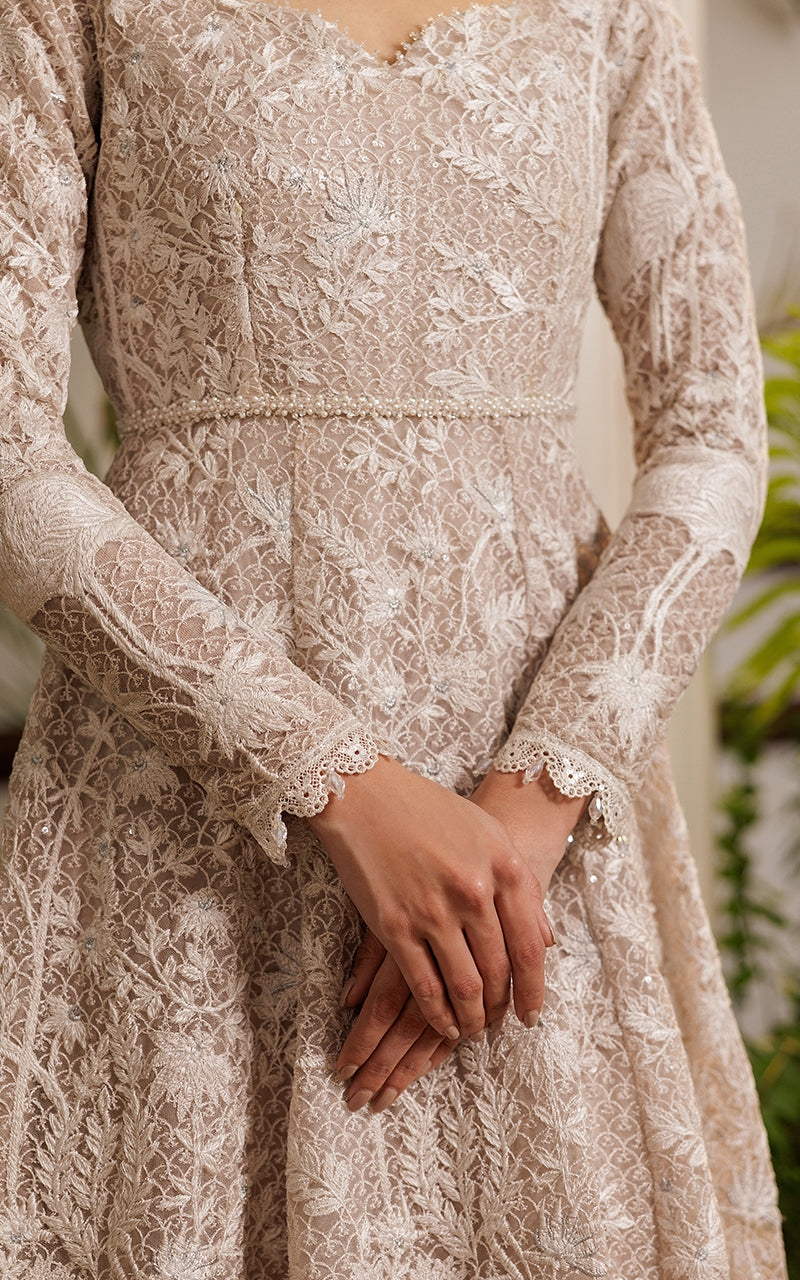 Threads and Motifs | Formal Dresses 25 | Net Embroidered Dress