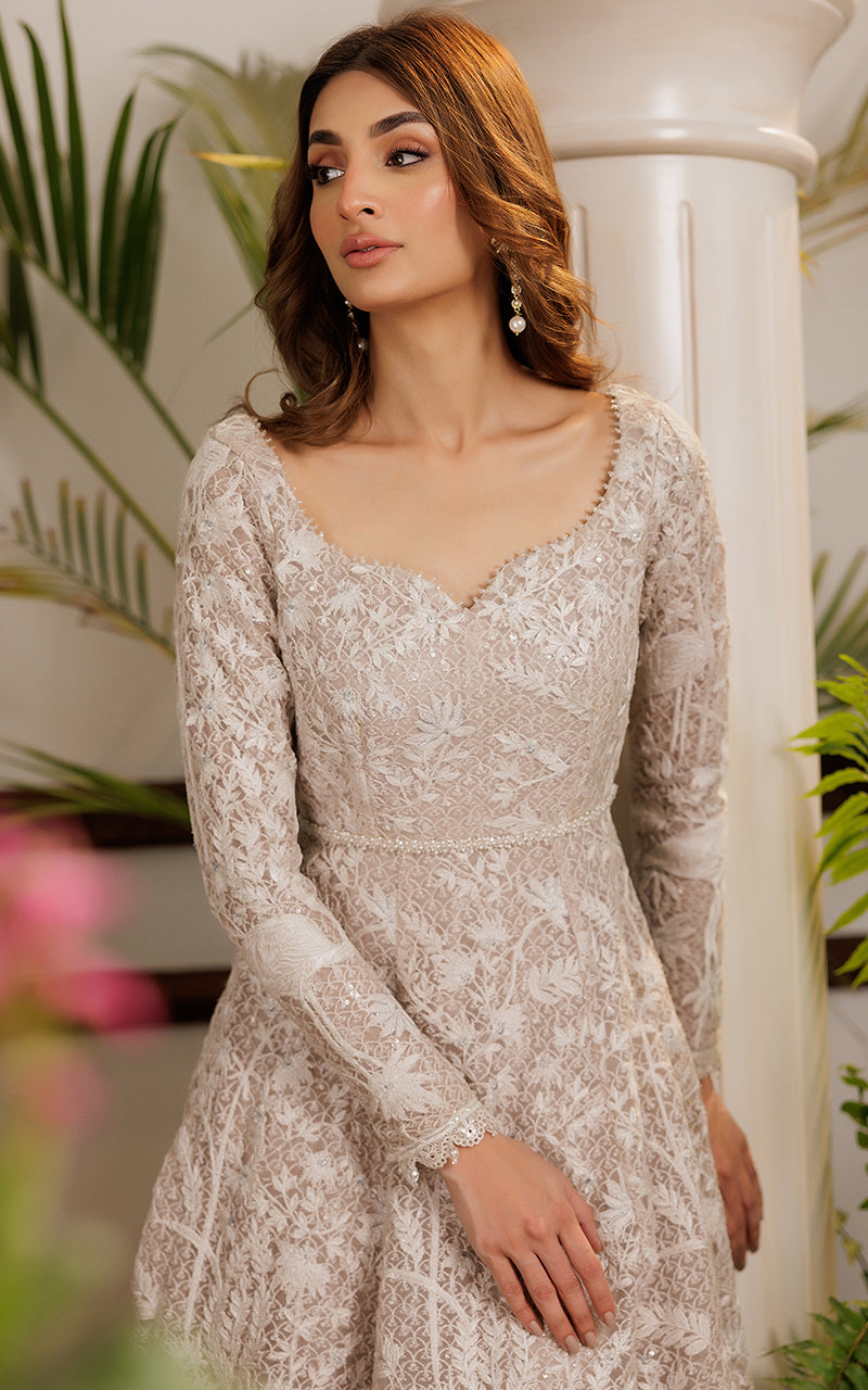 Threads and Motifs | Formal Dresses 25 | Net Embroidered Dress