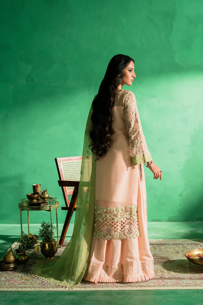 Zebtan | Farmaish Formals | FC-08