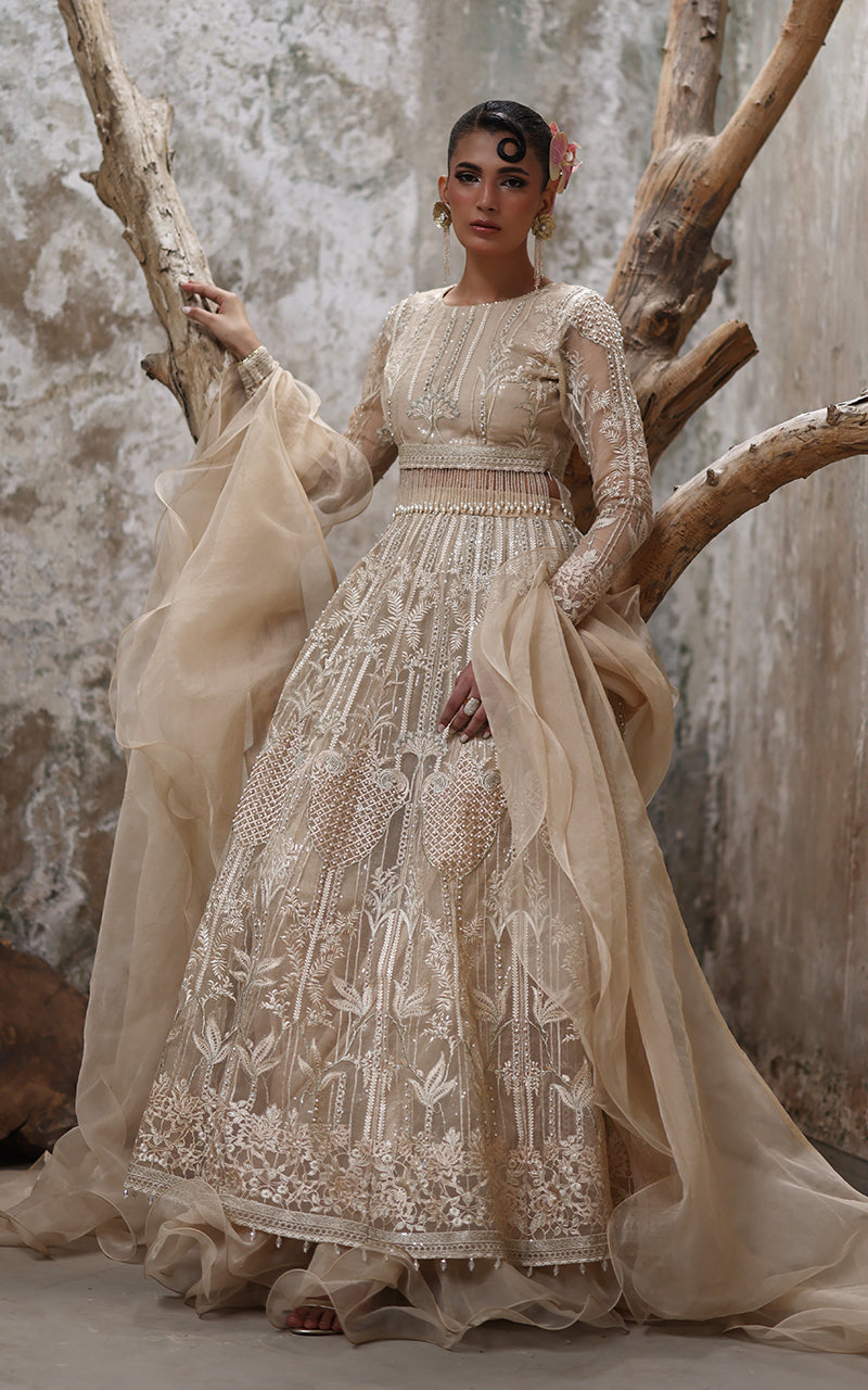 Threads and Motifs | Formal Dresses 25 | Organza Embroidered Blouse And Lehenga
