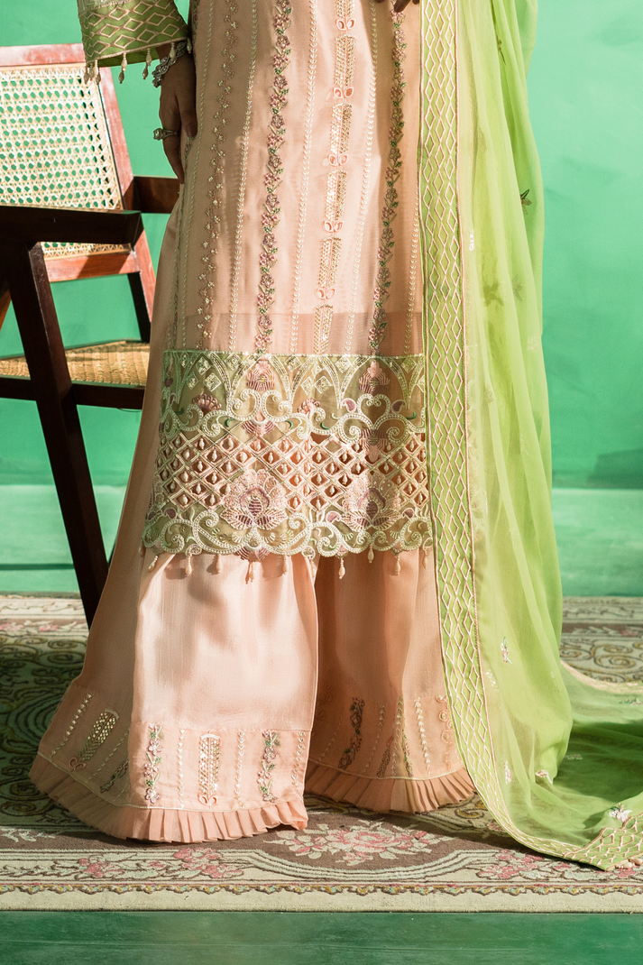 Zebtan | Farmaish Formals | FC-08