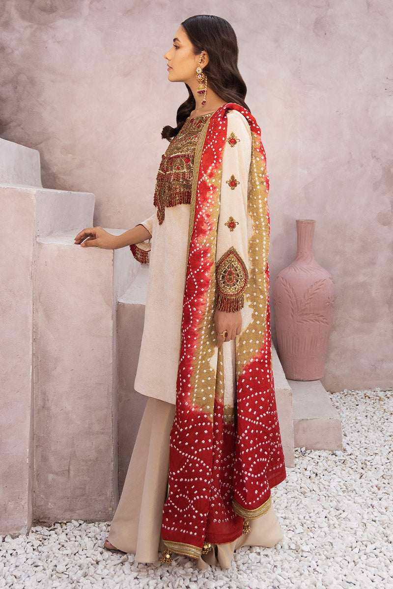 Chic Opicial | Velveteen Luxury Fall Collection | Sona