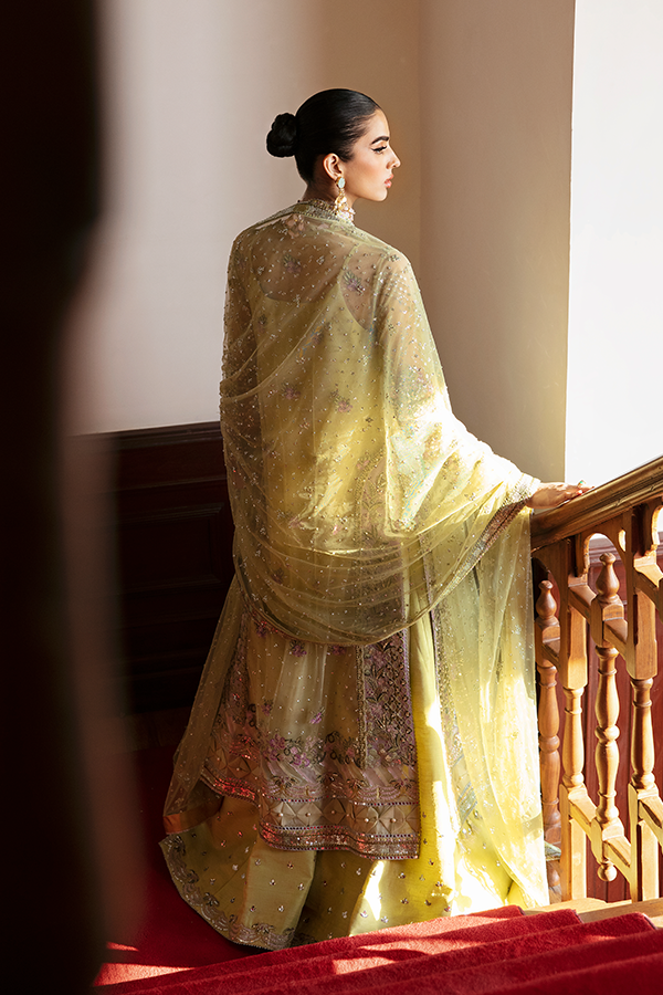 Soraya | Lumene Festive | OLIVINE -  Soraya Bridal -  Agha Fabrics