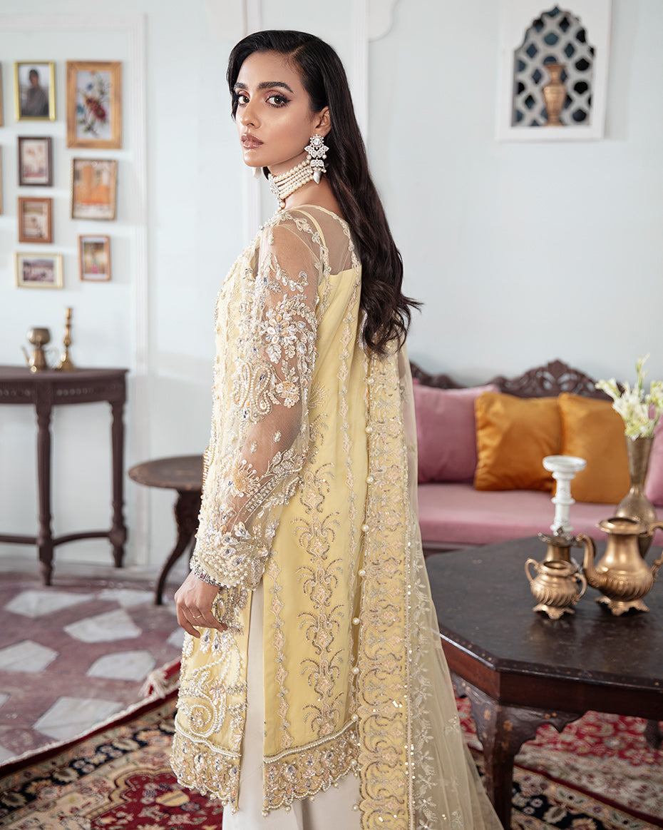 Gulaal | Wedding Formals | MAHJABEEN EMBROIDERED NET 3-PIECE SUIT WS-17 - Official Gulaal - Agha Fabrics UK