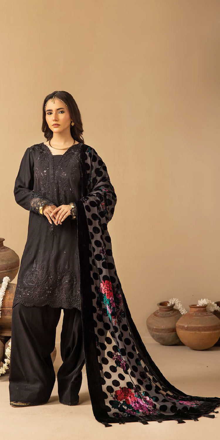 Riaz Arts | Dastaan Winter 25 | DS-19