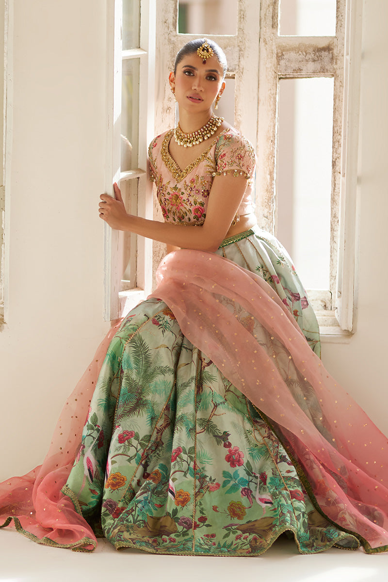 Mina Hassan | Formal Dholki Collection | Fayruz