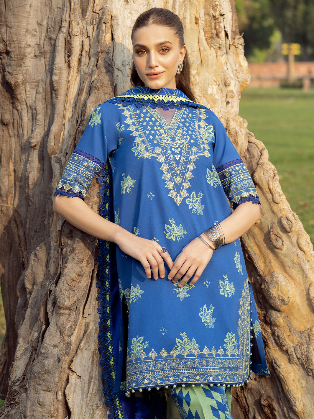 Bin Ilyas | Naqsh Naaz Luxury Lawn 25 | 2088 - B - Official Bin Ilyas - Agha Fabrics UK