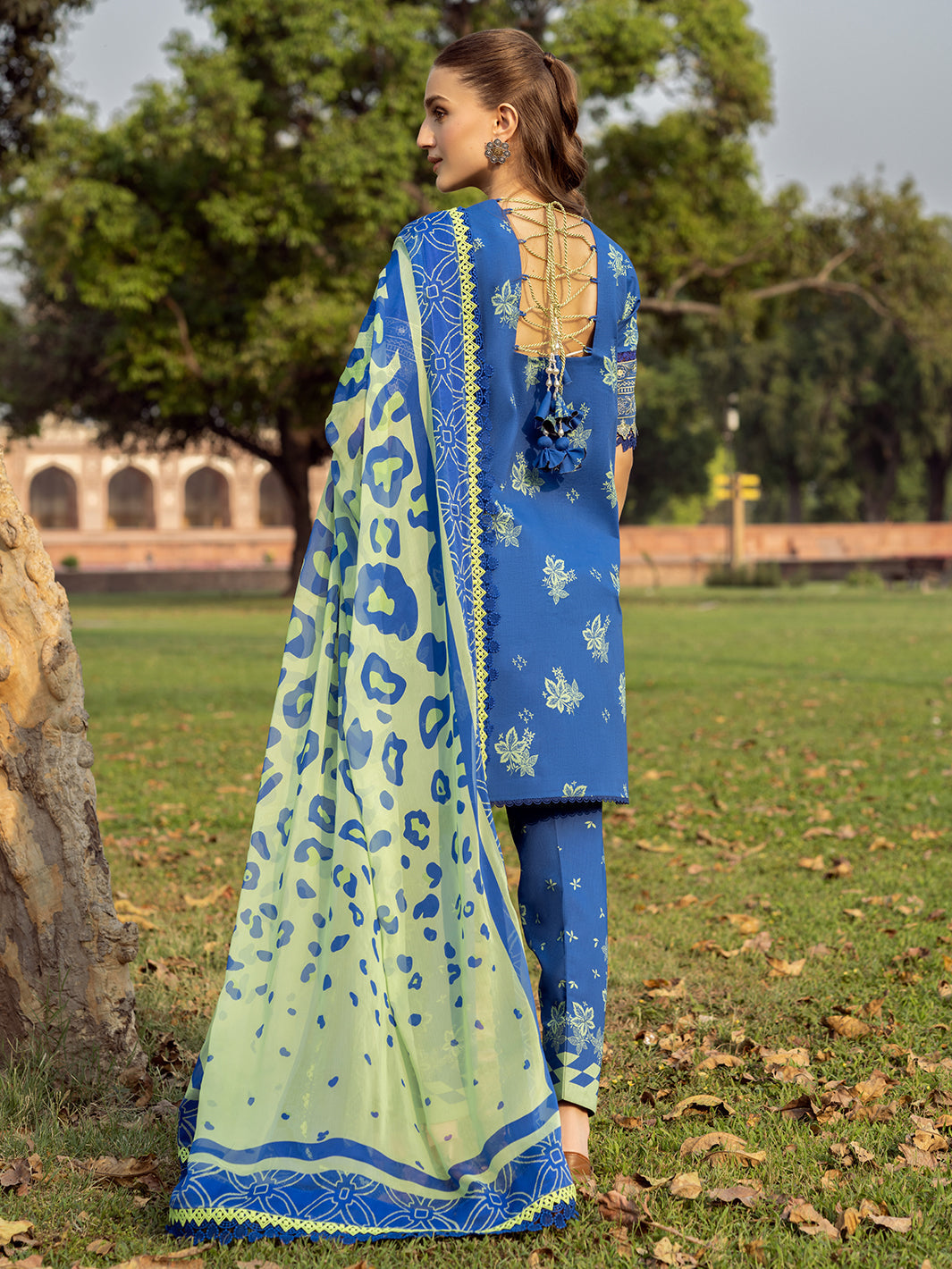 Bin Ilyas | Naqsh Naaz Luxury Lawn 25 | 2088 - B - Official Bin Ilyas - Agha Fabrics UK