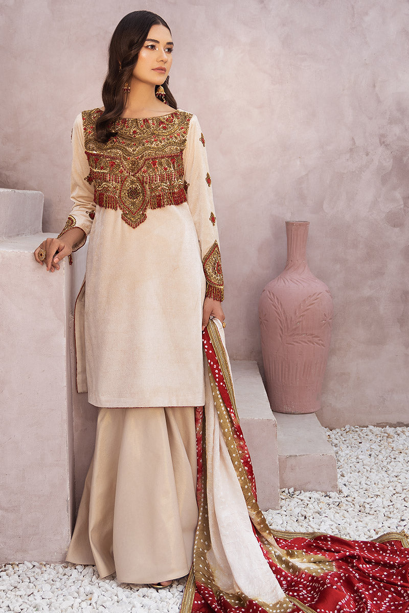 Chic Opicial | Velveteen Luxury Fall Collection | Sona