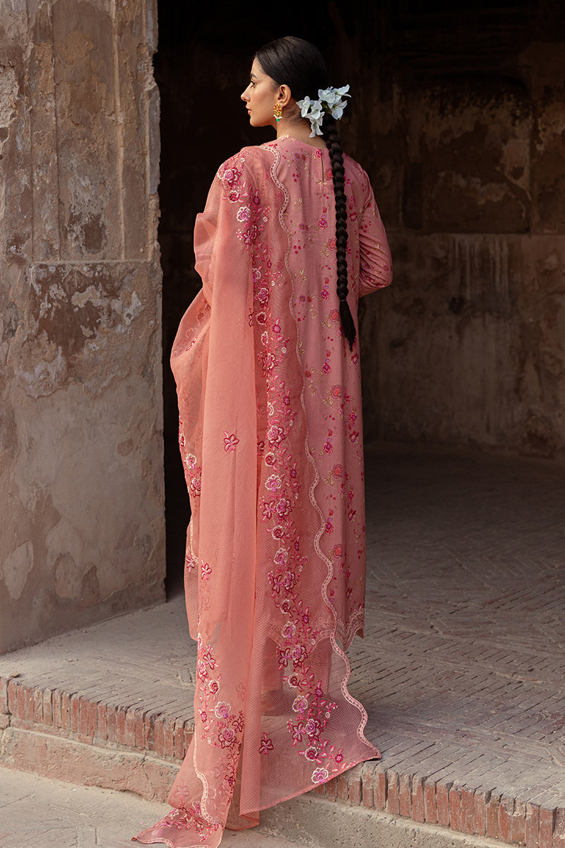 Cross Stitch | Premium Lawn 24 | APRICOT CHARM - Official Cross Stitch - Agha Fabrics UK