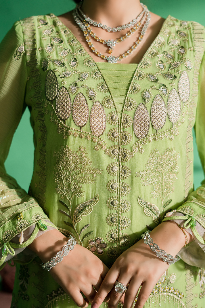 Zebtan | Farmaish Formals | FC-05