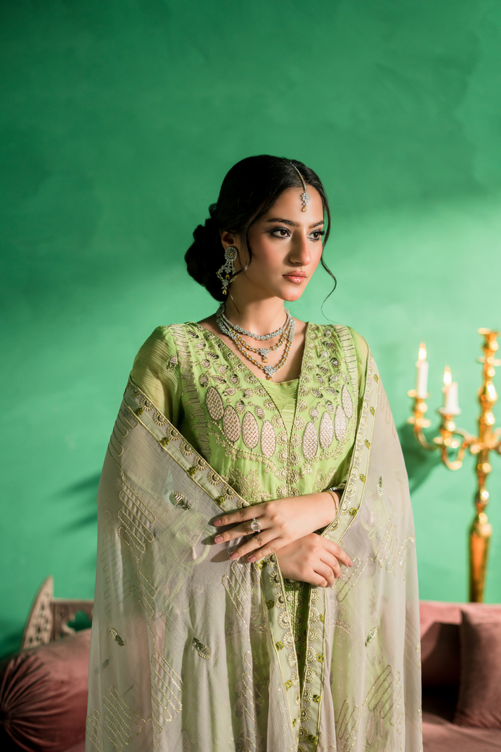 Zebtan | Farmaish Formals | FC-05