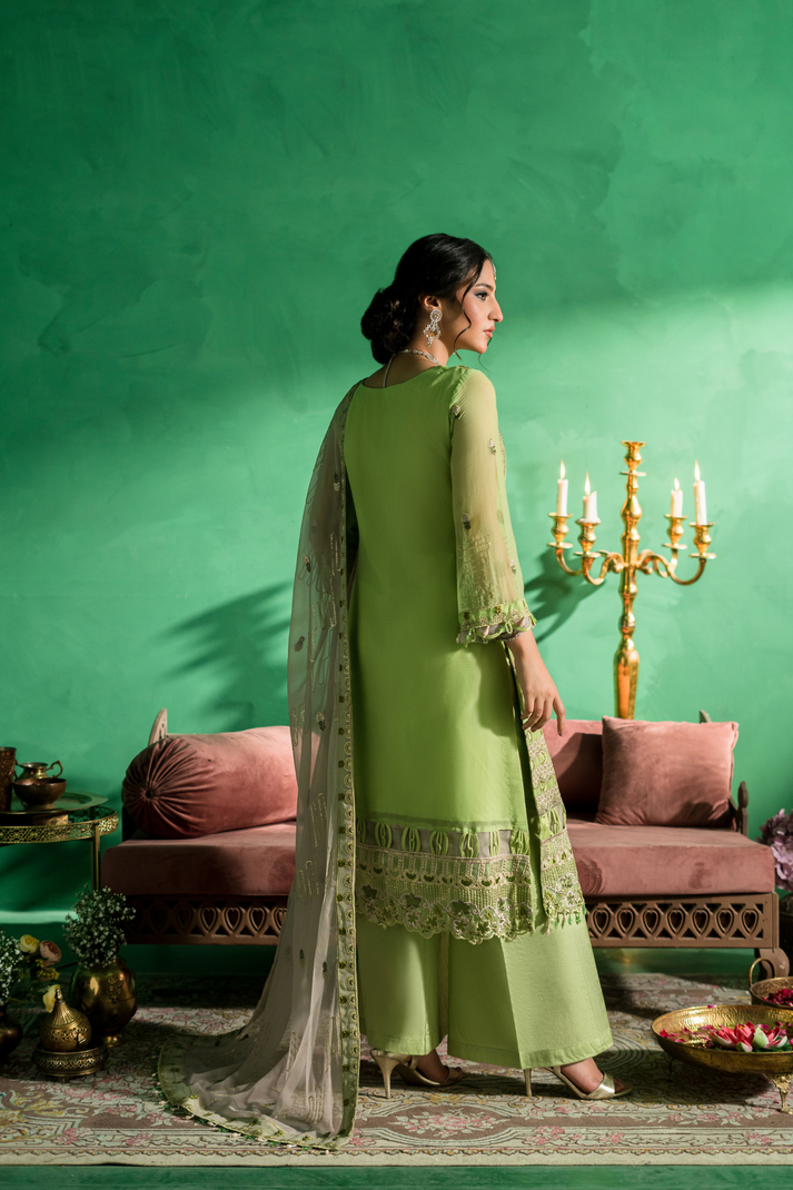 Zebtan | Farmaish Formals | FC-05