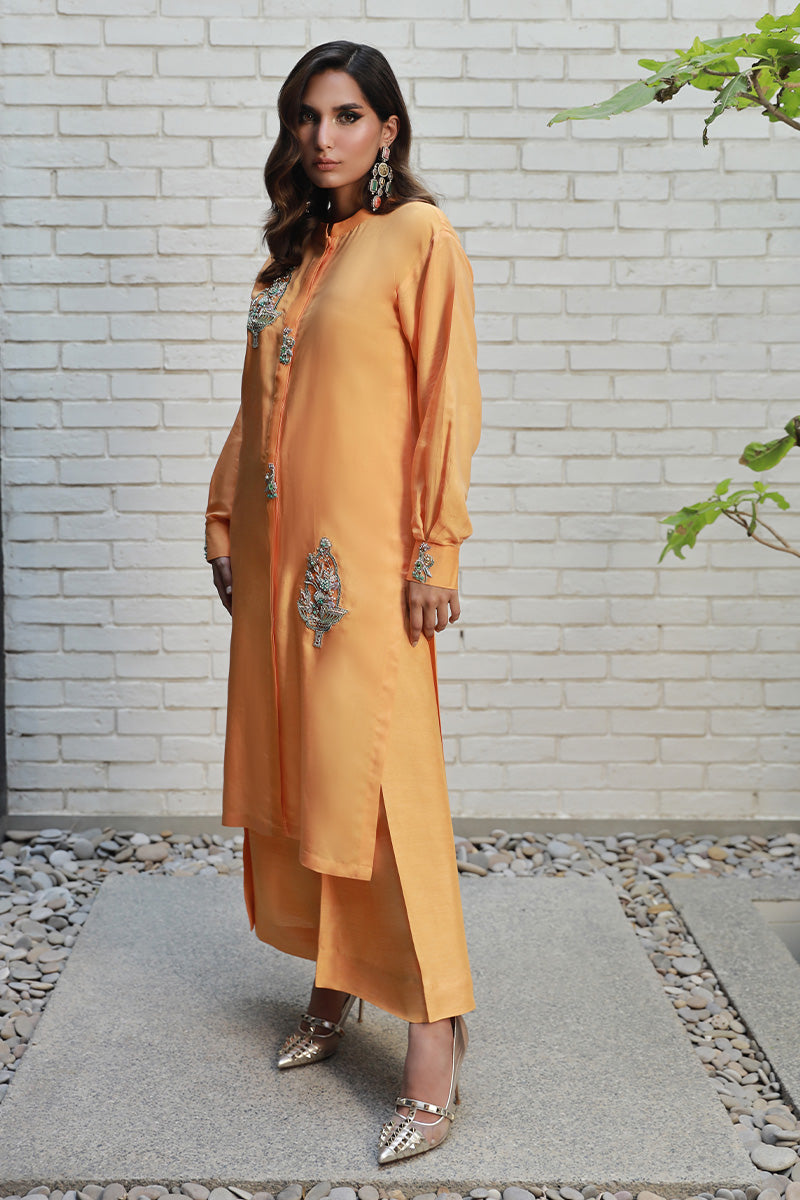 Wardha Saleem | Luxury Pret Traditional Wear | ARZA - Official Wardha Saleem - Agha Fabrics UK