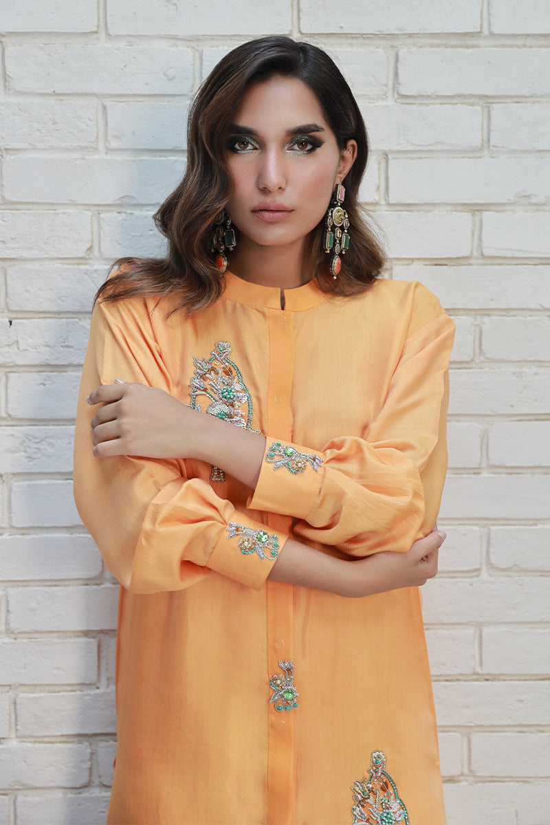 Wardha Saleem | Luxury Pret Traditional Wear | ARZA - Official Wardha Saleem - Agha Fabrics UK