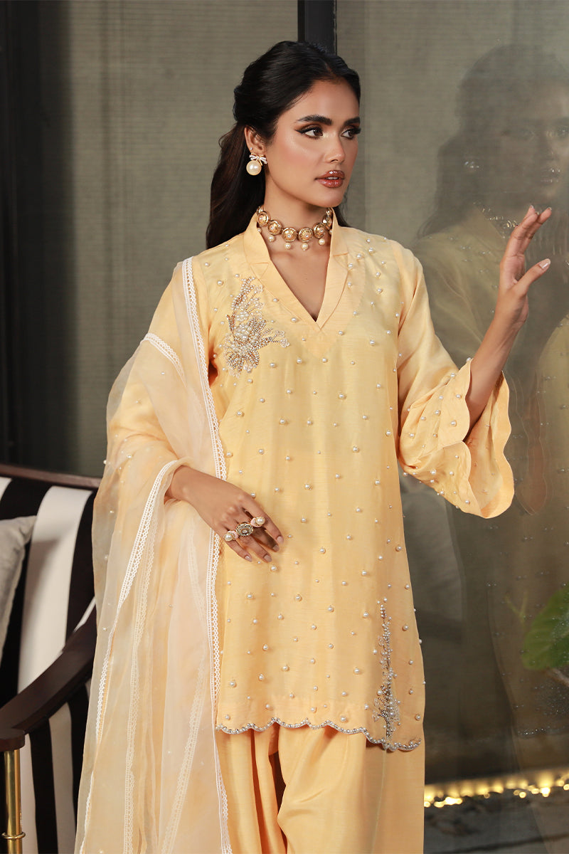 Wardha Saleem | Luxury Pret Traditional Wear | ZARIA - Official Wardha Saleem - Agha Fabrics UK
