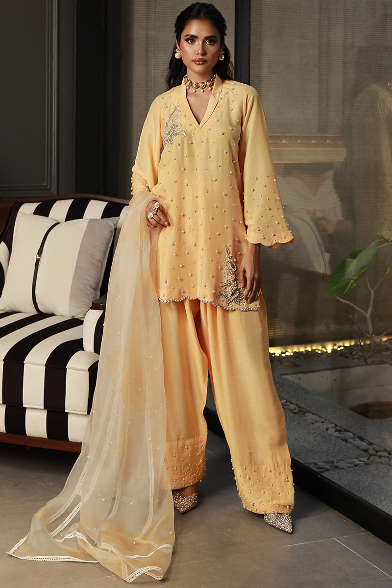 Wardha Saleem | Luxury Pret Traditional Wear | ZARIA - Official Wardha Saleem - Agha Fabrics UK