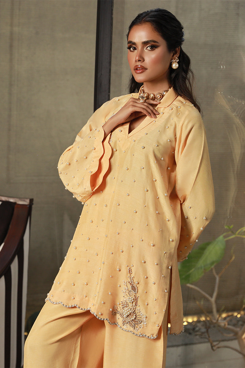 Wardha Saleem | Luxury Pret Traditional Wear | ZARIA - Official Wardha Saleem - Agha Fabrics UK
