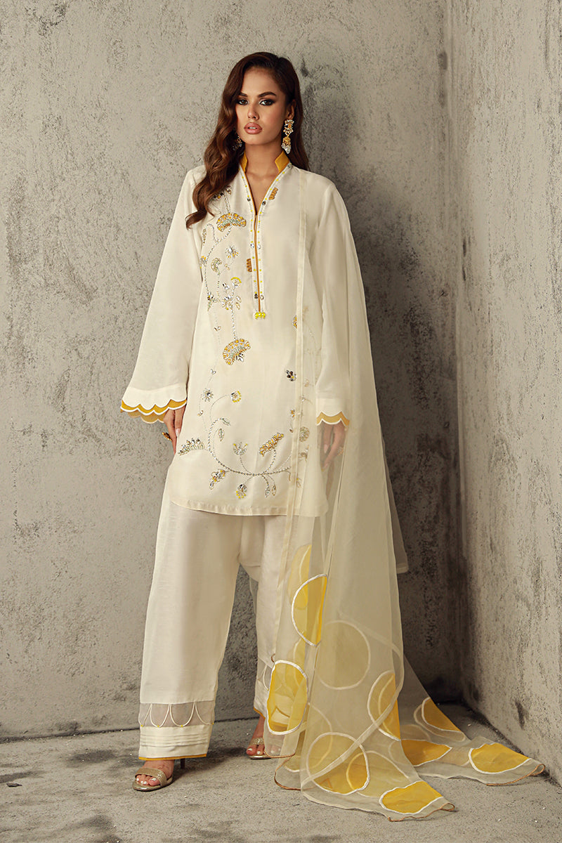 Wardha Saleem | Luxury Pret Traditional Wear | SUHA - Official Wardha Saleem - Agha Fabrics UK