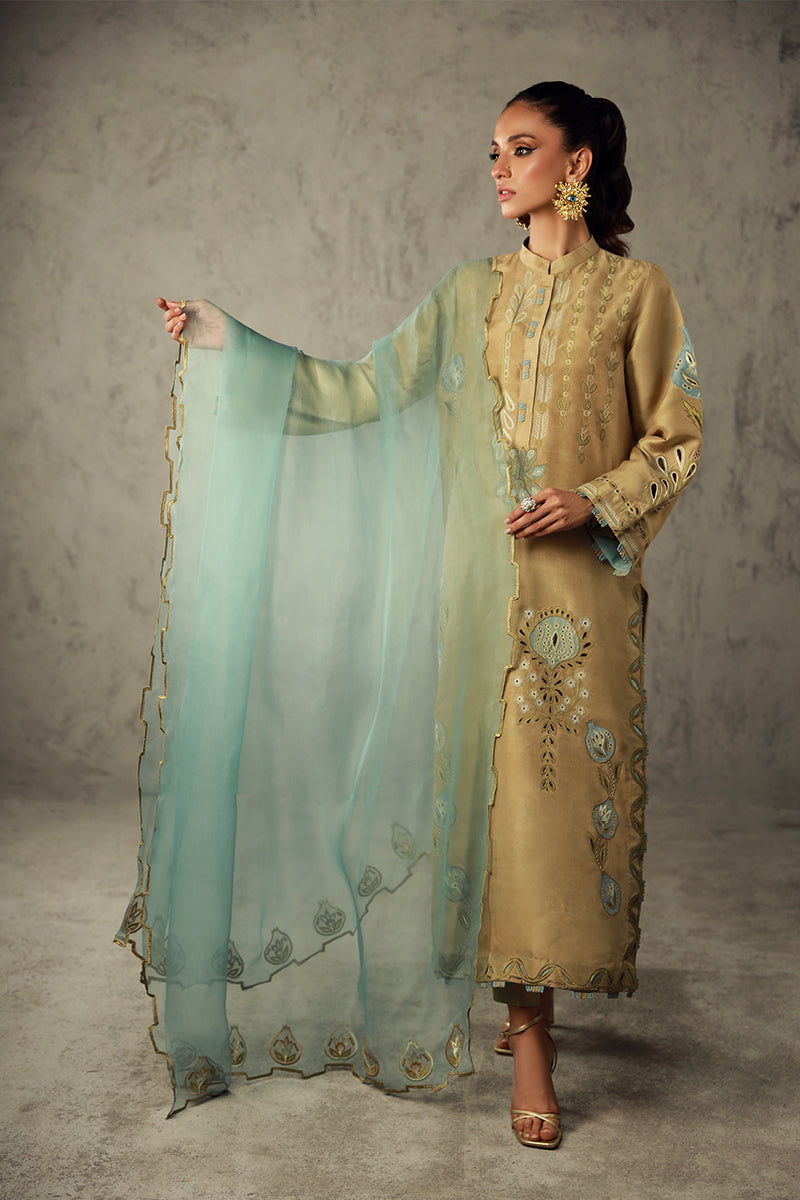 Wardha Saleem | Luxury Pret Traditional Wear | AMANI - Official Wardha Saleem - Agha Fabrics UK
