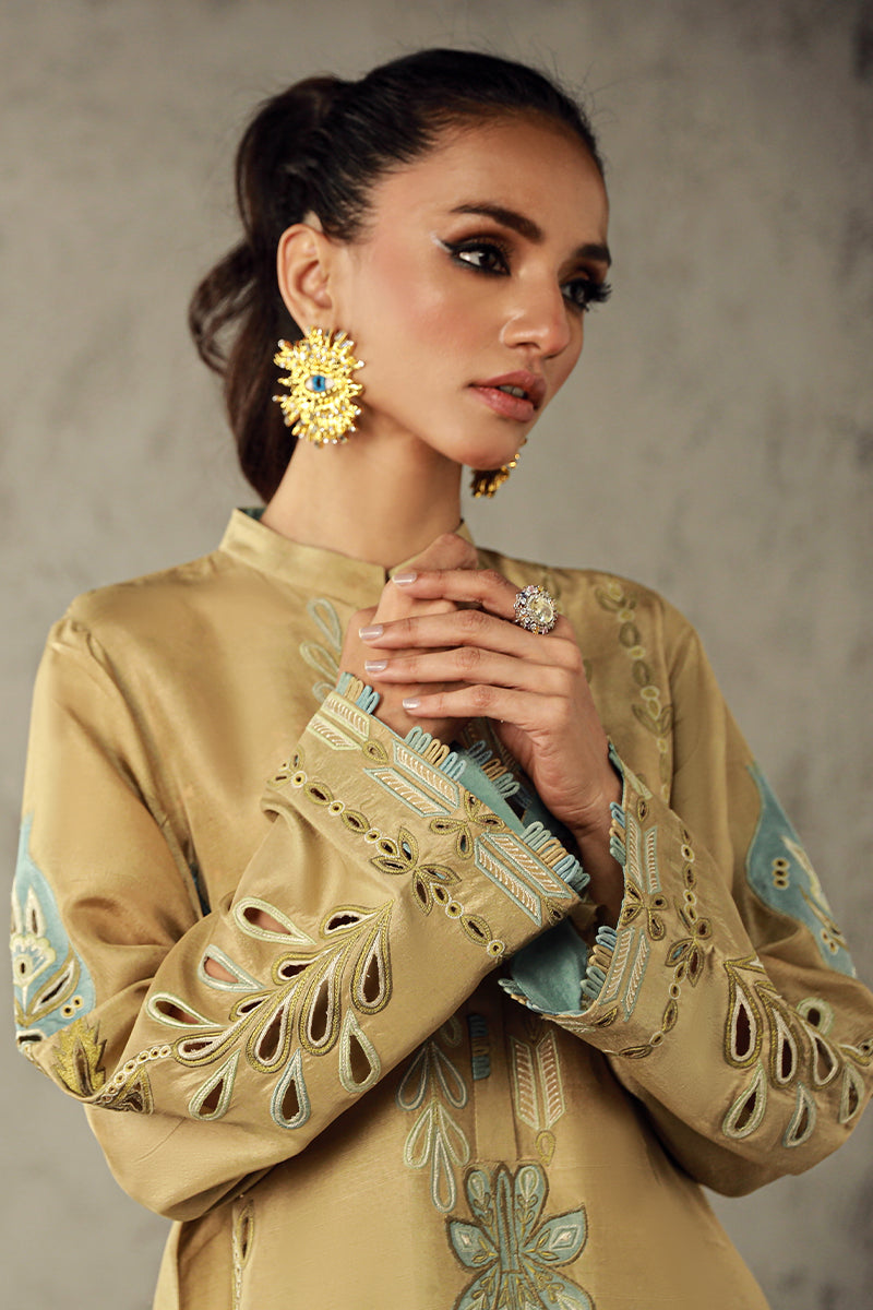 Wardha Saleem | Luxury Pret Traditional Wear | AMANI - Official Wardha Saleem - Agha Fabrics UK