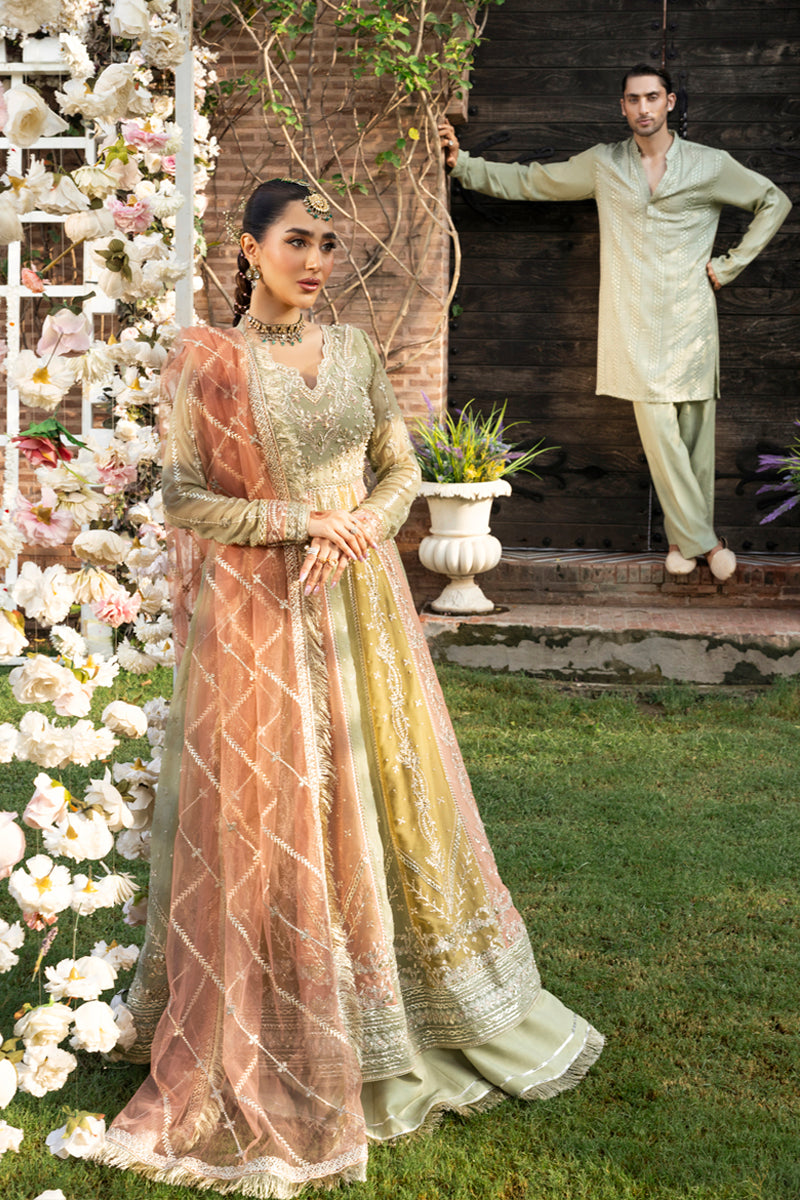 Rangrasiya | Wedding Formals 25 | Amil