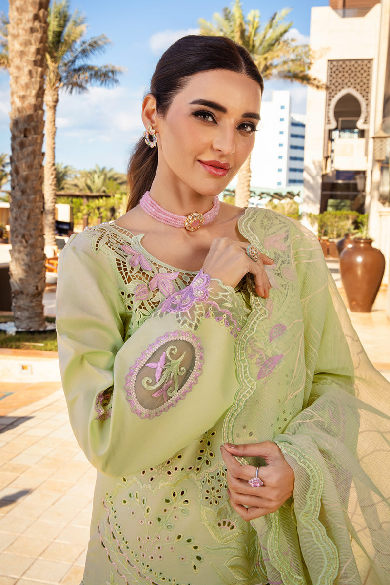 Rangrasiya | Premium Summer Lawn 25 | Ayleen