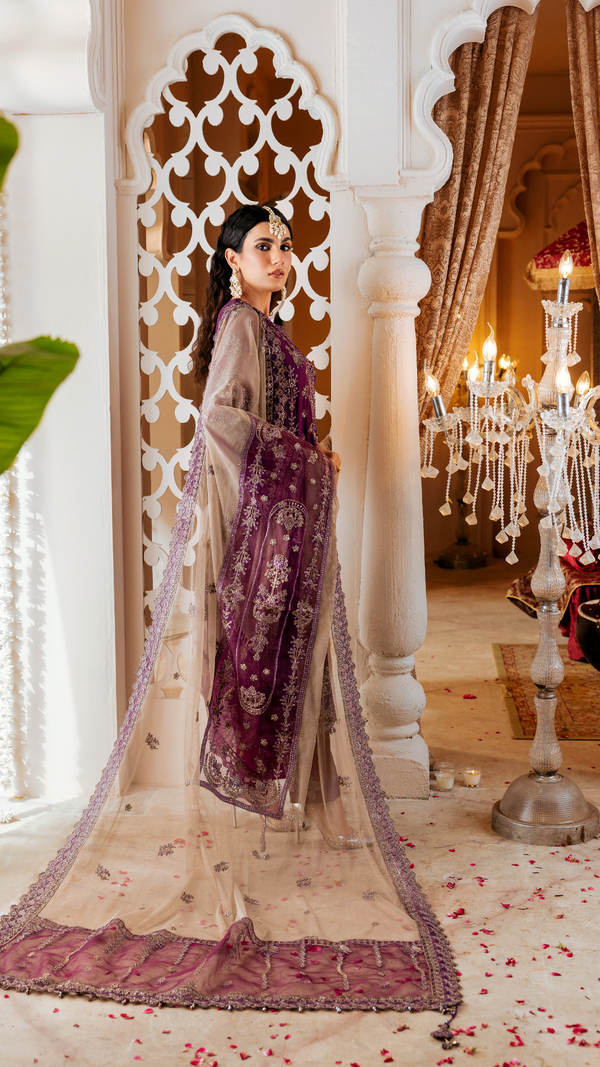 Zebtan | Zircon Wedding Formals | AFREEN ZQ-08