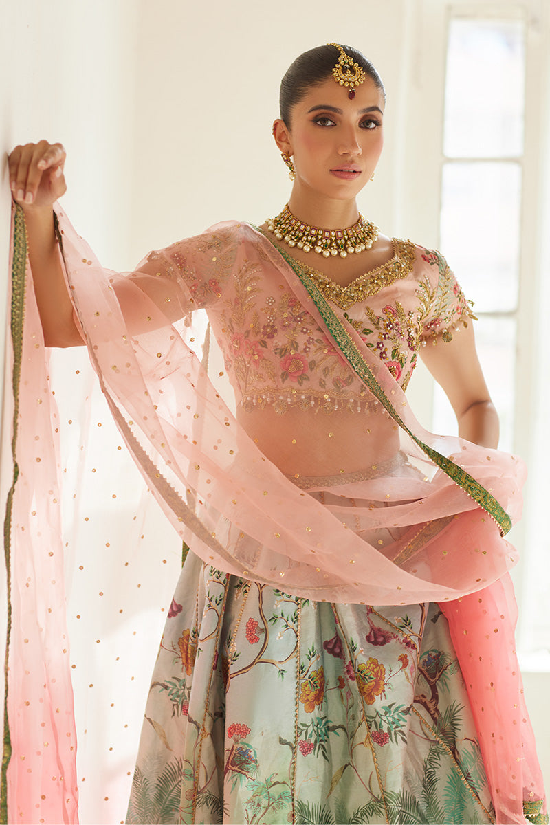 Mina Hassan | Formal Dholki Collection | Fayruz