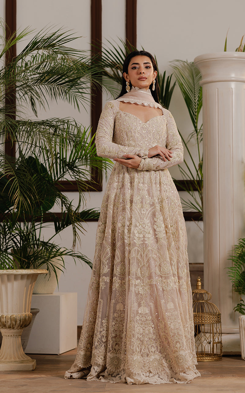 Threads and Motifs | Formal Dresses 25 | Net Embroidered Maxi