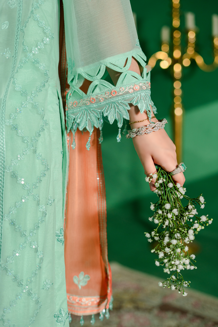 Zebtan | Farmaish Formals | FC-02