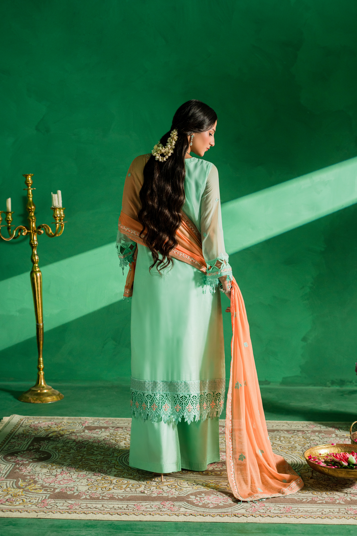 Zebtan | Farmaish Formals | FC-02