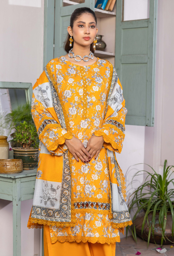 Humdum | Rang e Noor SS 24 | D04 - Official HumDum - Agha Fabrics UK