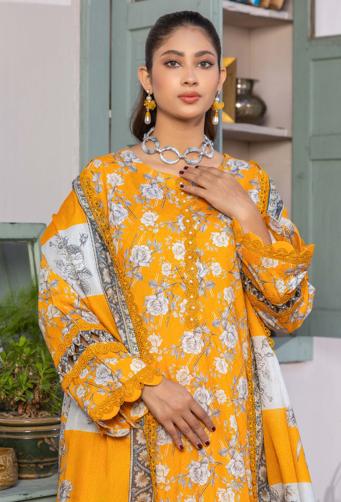Humdum | Rang e Noor SS 24 | D04 - Official HumDum - Agha Fabrics UK