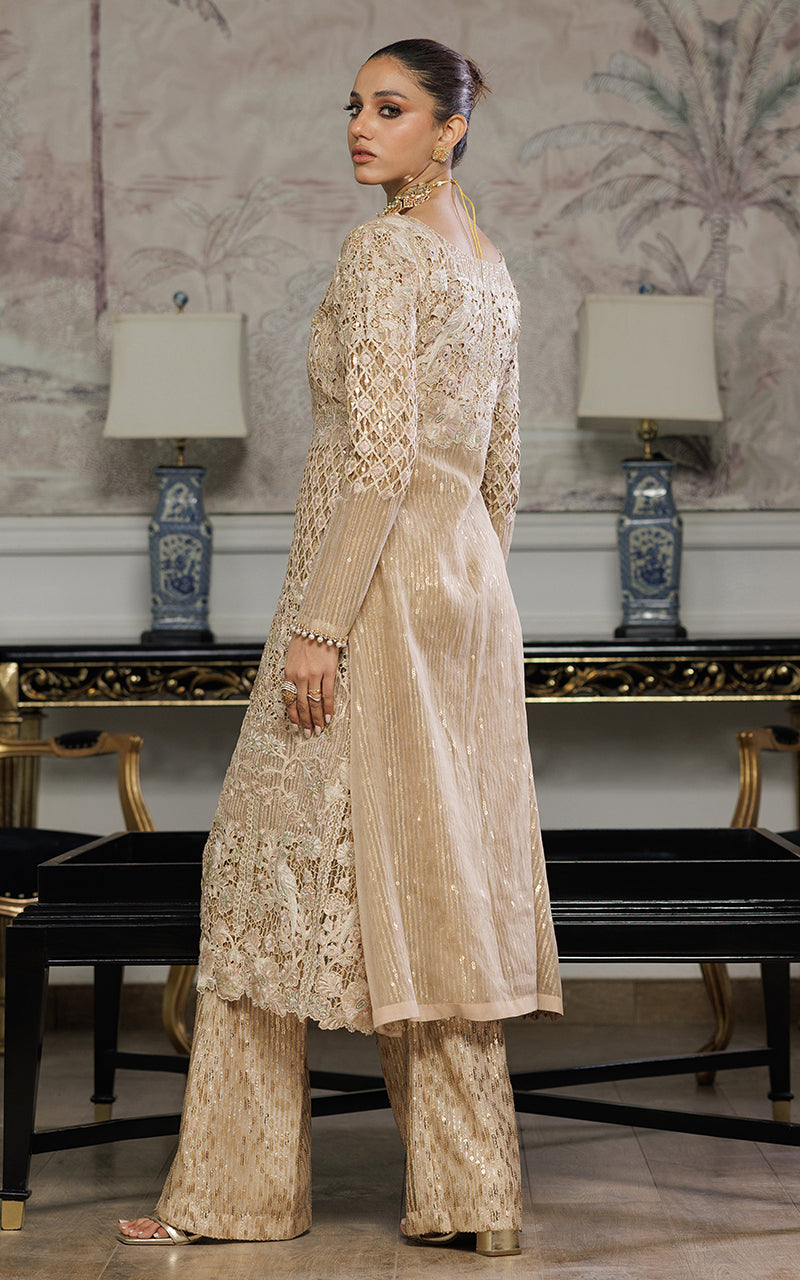 Threads and Motifs | Formal Dresses 25 | Organza Embroidered Dress With Trouser