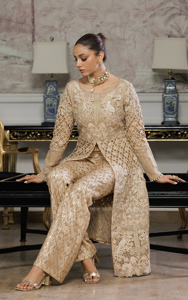 Threads and Motifs | Formal Dresses 25 | Organza Embroidered Dress With Trouser