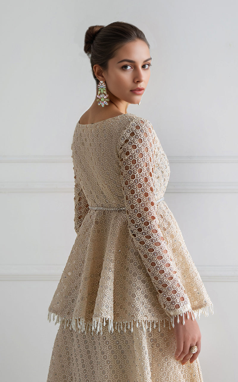 Threads and Motifs | Formal Dresses 25 | Organza Embroidered Peplum With Skirt