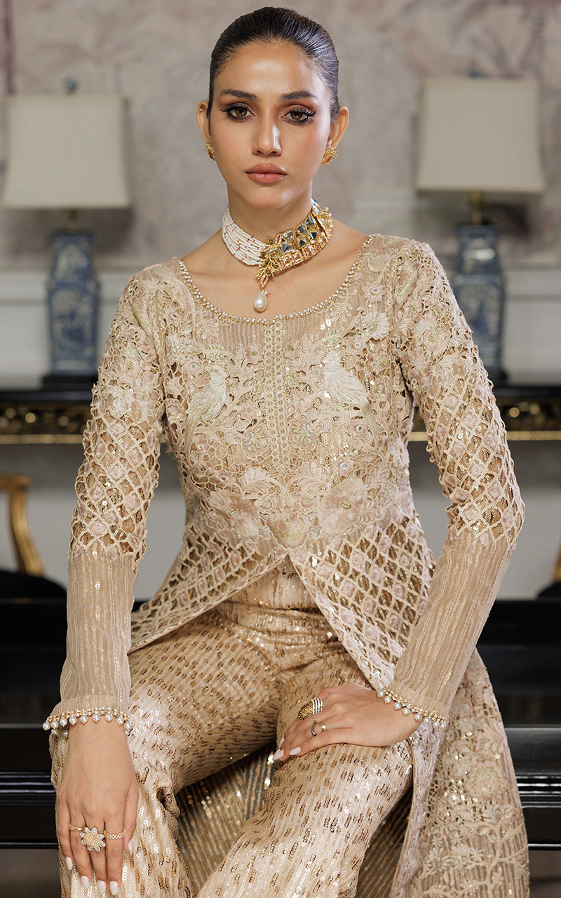Threads and Motifs | Formal Dresses 25 | Organza Embroidered Dress With Trouser