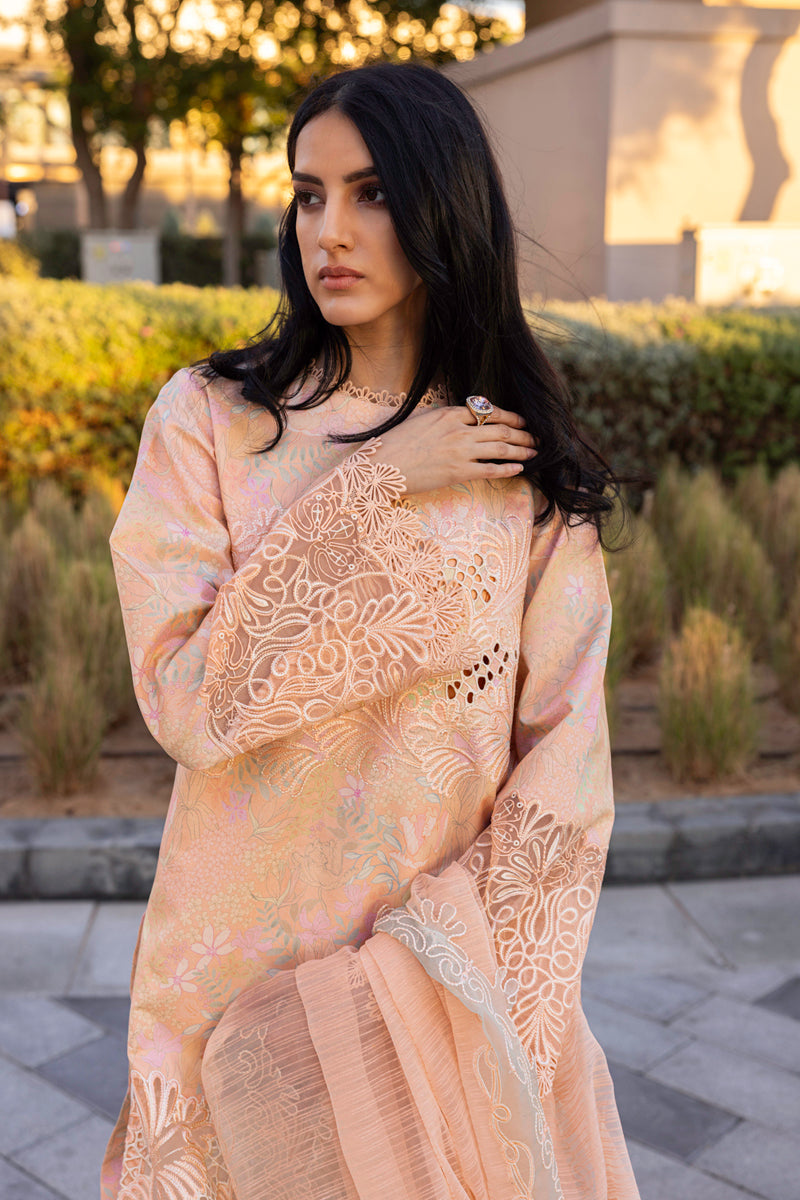 Rangrasiya | Carnation Summer Edit 25 | Zinnia