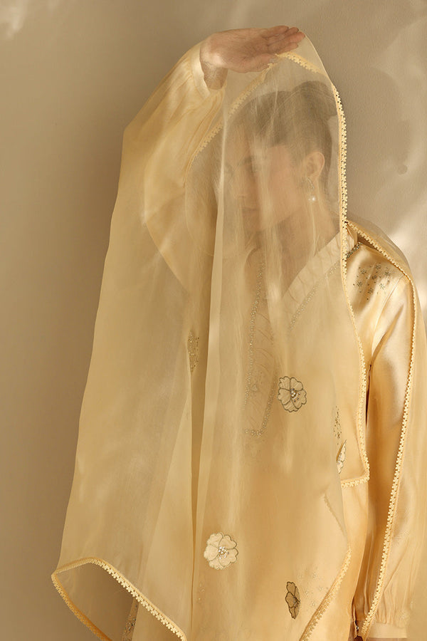 Sana Abbas | Mor Luxe | BUTTER CUP