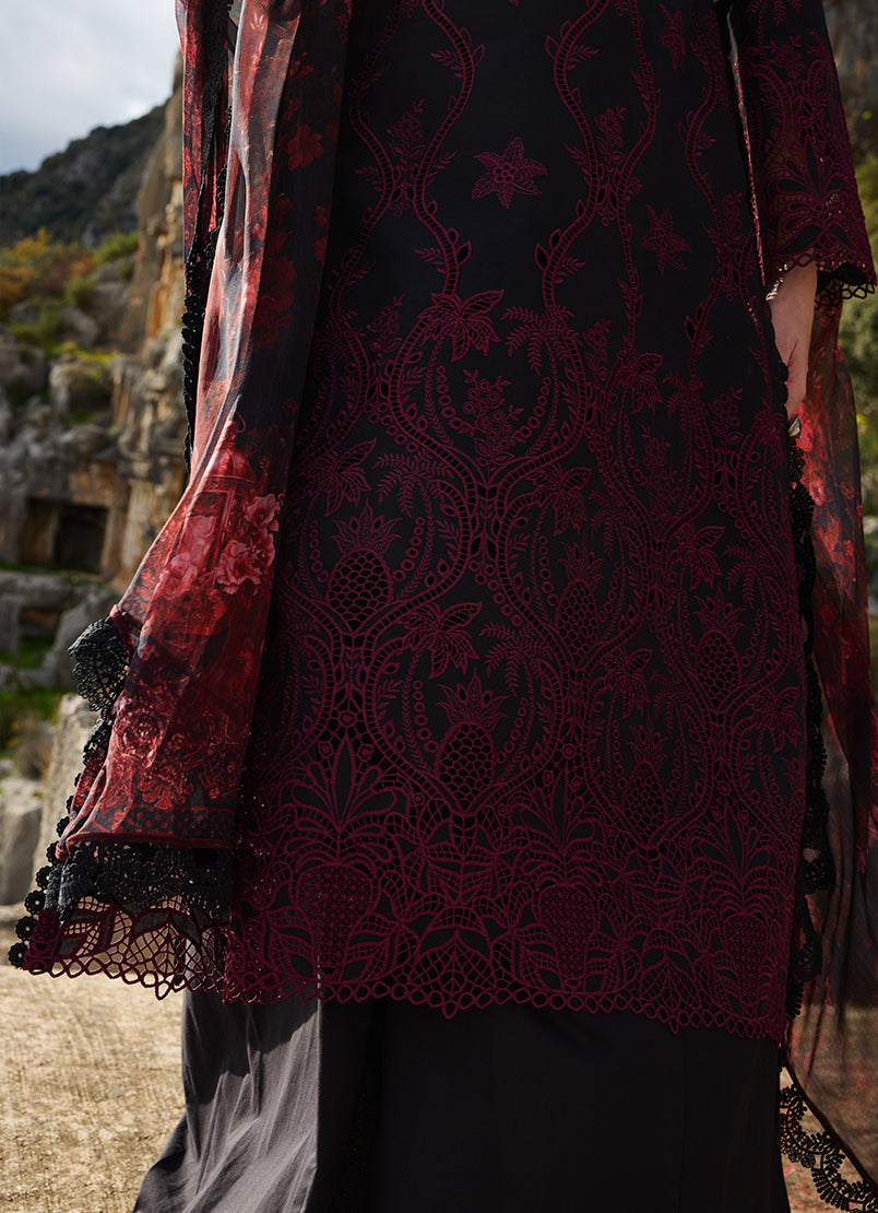 Image | Lawnkari 25 | Zamiya