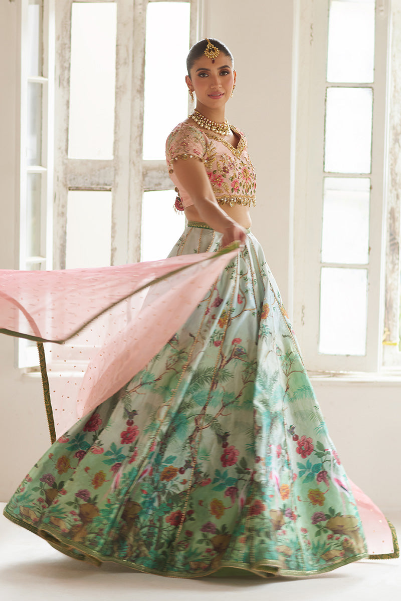 Mina Hassan | Formal Dholki Collection | Fayruz