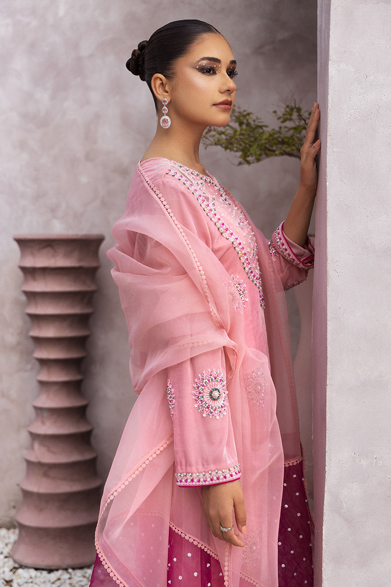 Chic Ophicial | Velveteen Luxury Fall Collection | Narmin