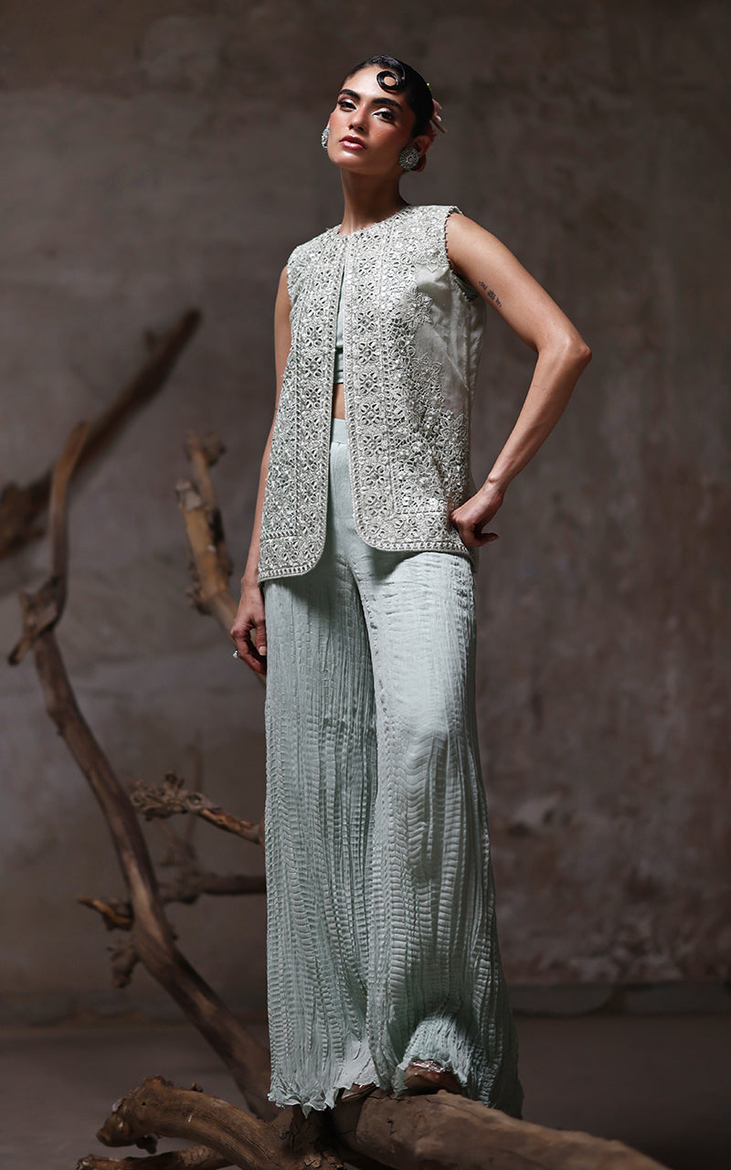 Threads and Motifs | Formal Dresses 25 | Organza Embroidered Jacket With Crushed Trouser