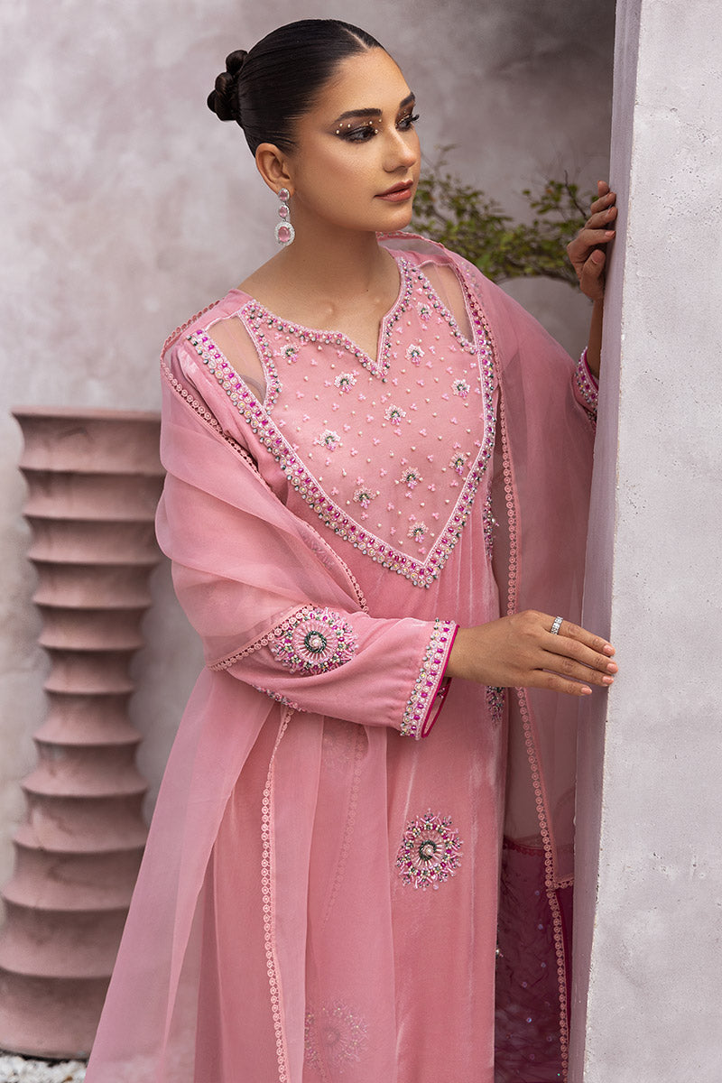 Chic Ophicial | Velveteen Luxury Fall Collection | Narmin