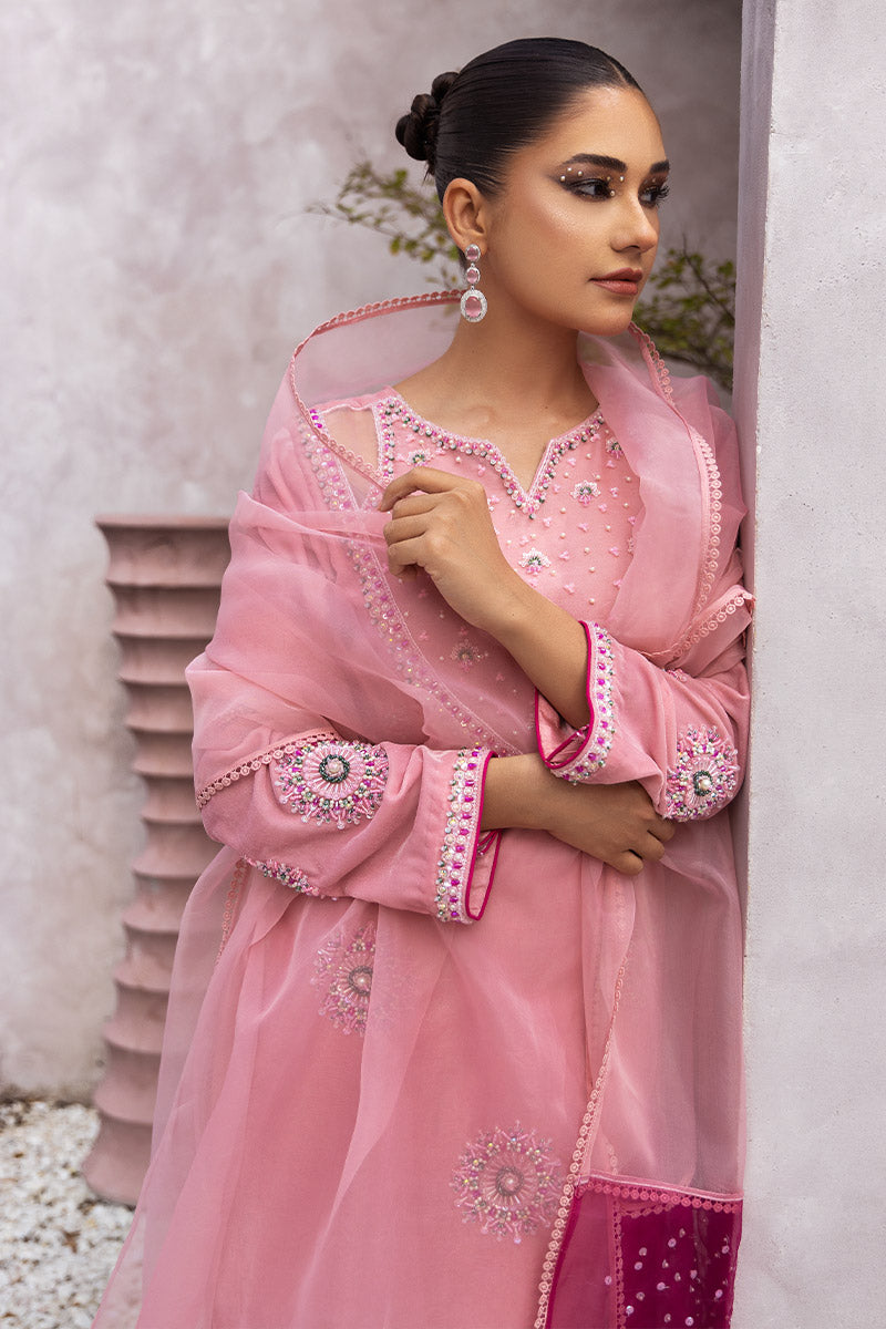 Chic Opicial | Velveteen Luxury Fall Collection | Narmin