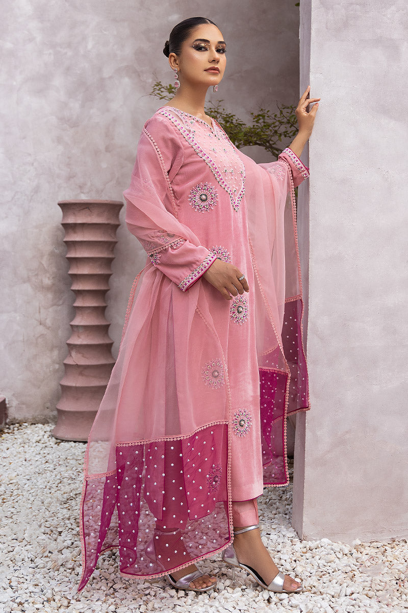 Chic Opicial | Velveteen Luxury Fall Collection | Narmin