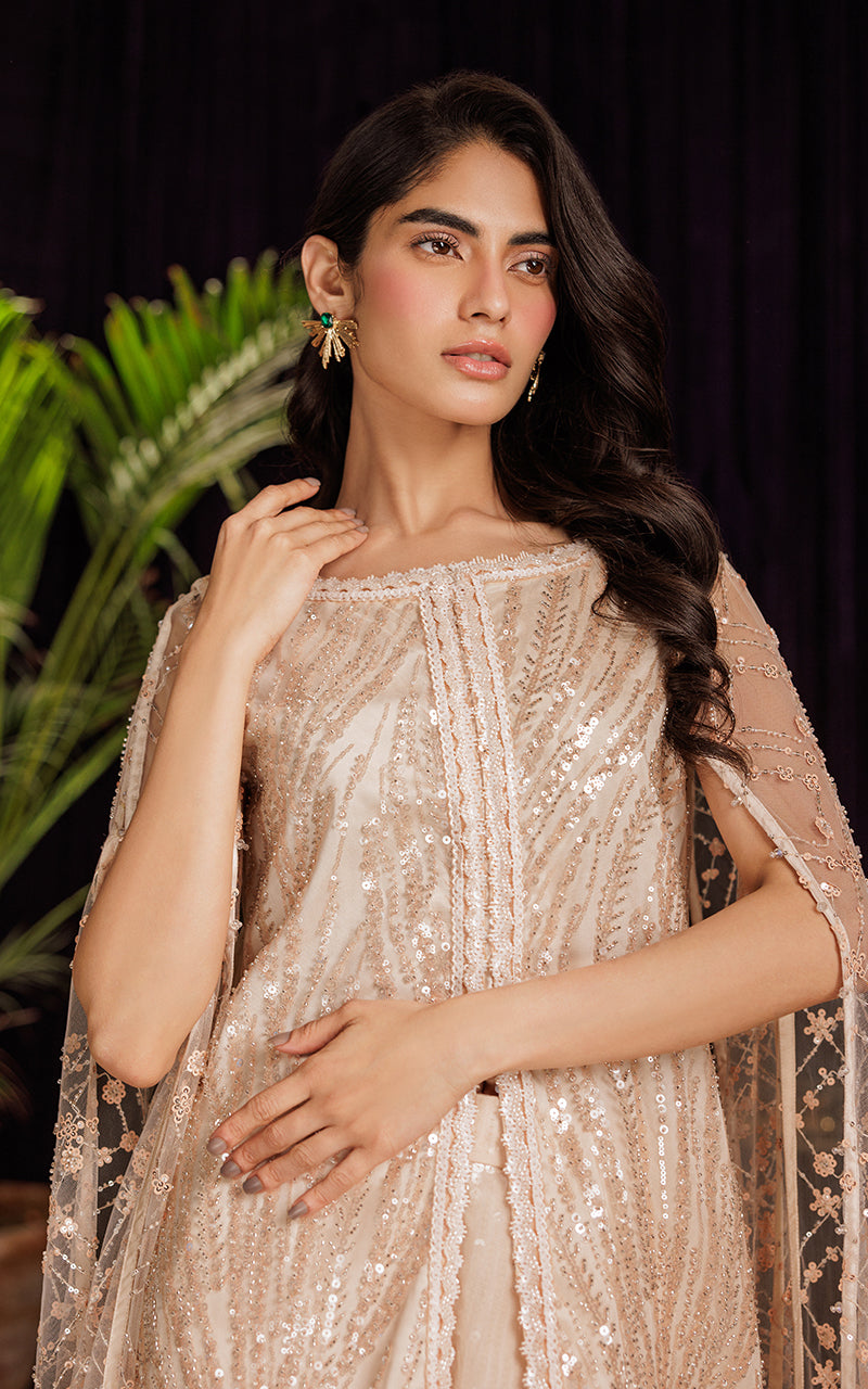 Threads and Motifs | Formal Dresses 25 | Net Embroidered Dress With Skirt