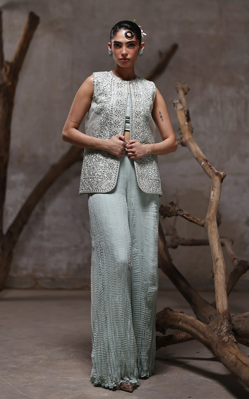 Threads and Motifs | Formal Dresses 25 | Organza Embroidered Jacket With Crushed Trouser
