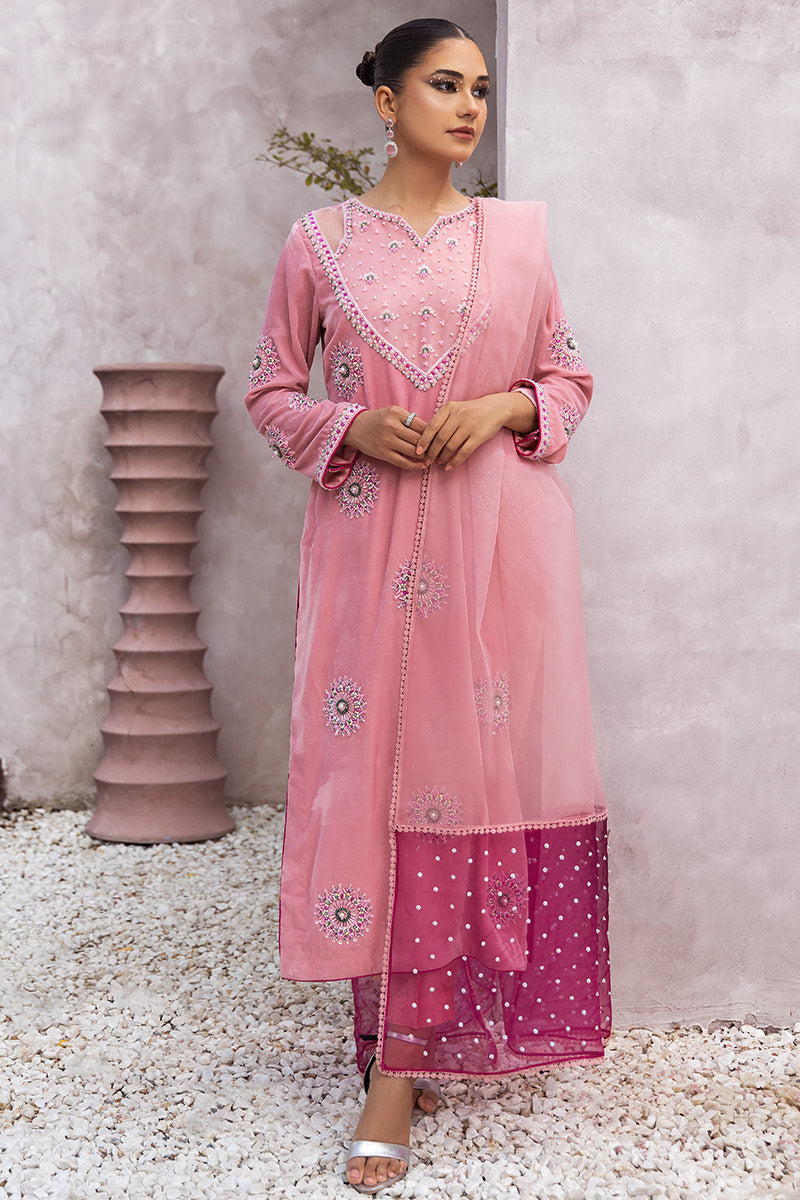 Chic Ophicial | Velveteen Luxury Fall Collection | Narmin